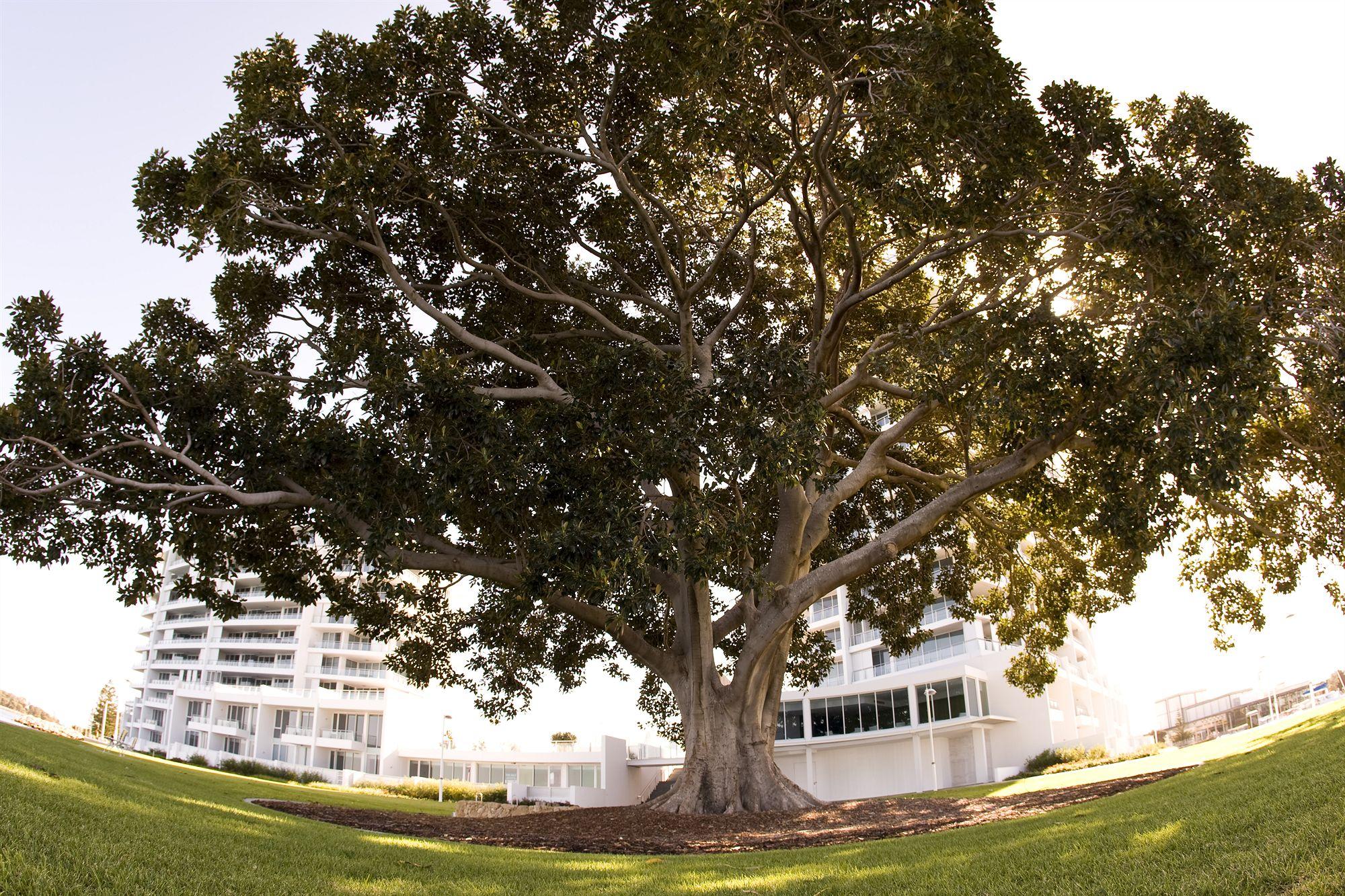 The Sebel Mandurah Otel Dış mekan fotoğraf